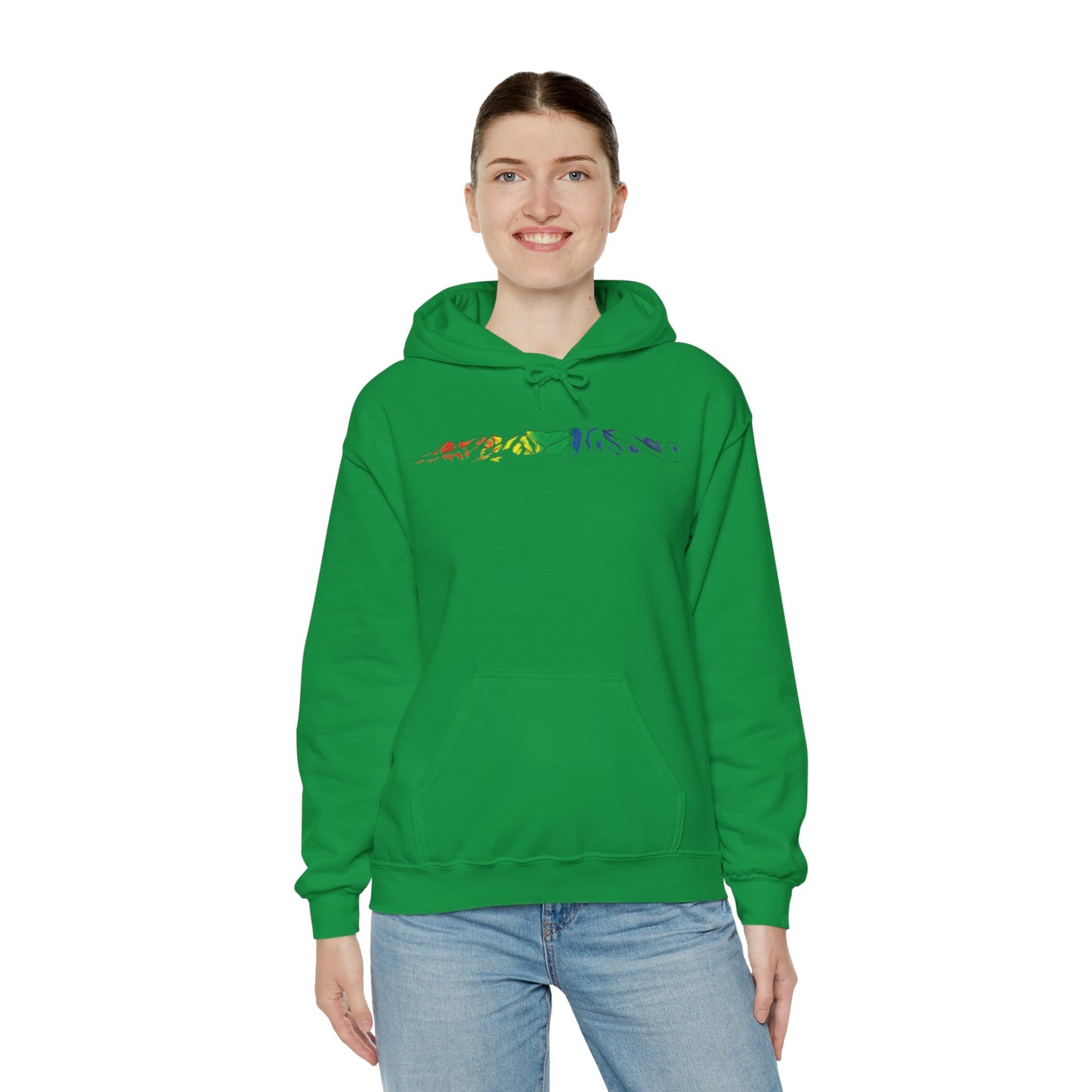 Winnemucca Mountain 1 Hoodie