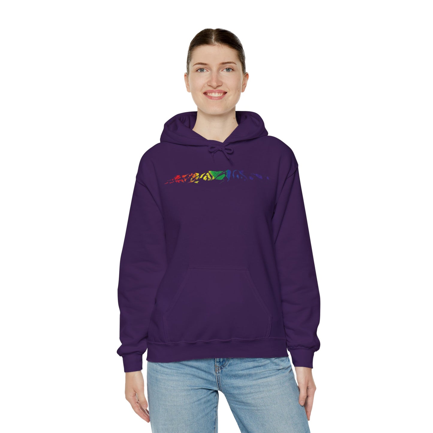 Winnemucca Mountain 1 Hoodie