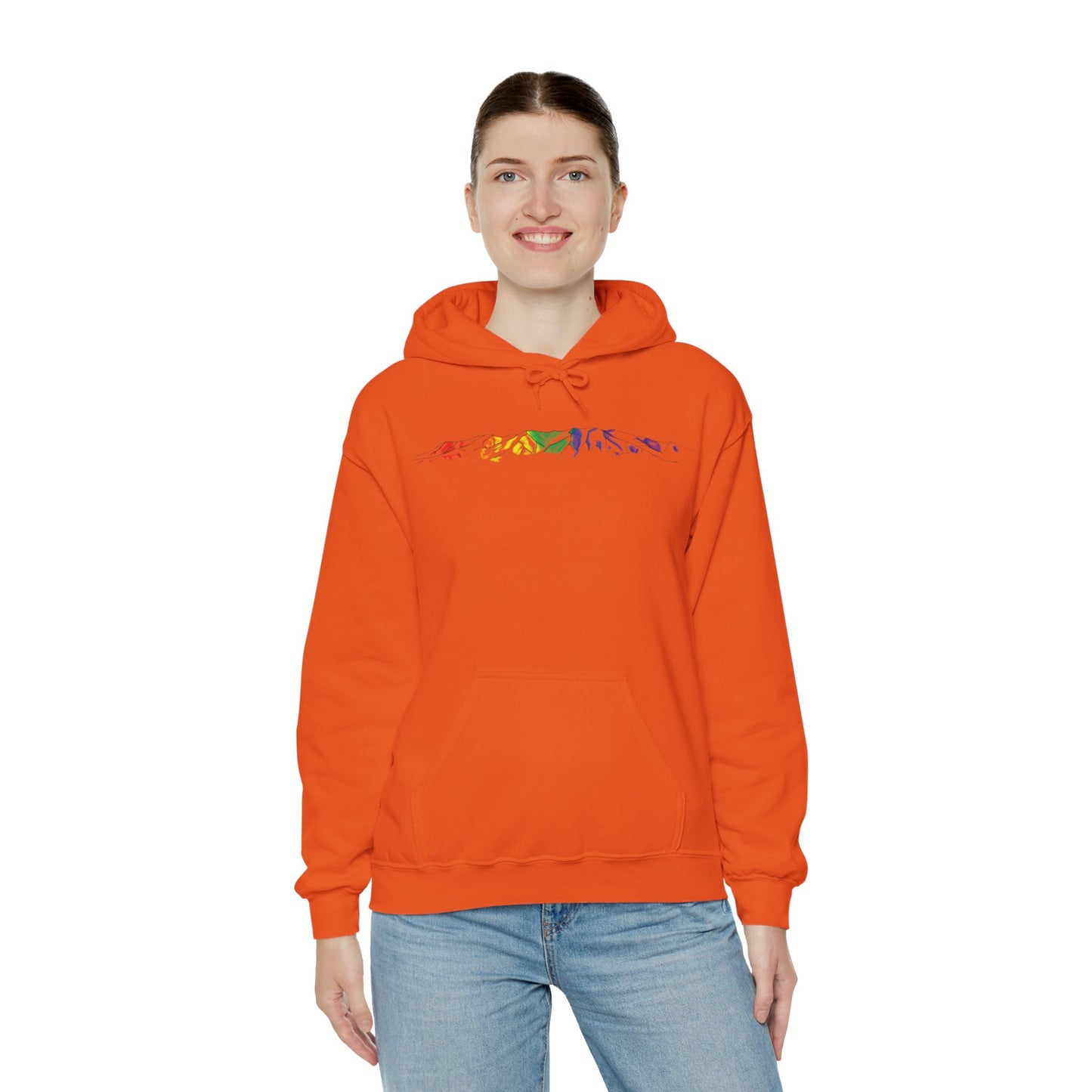 Winnemucca Mountain 1 Hoodie